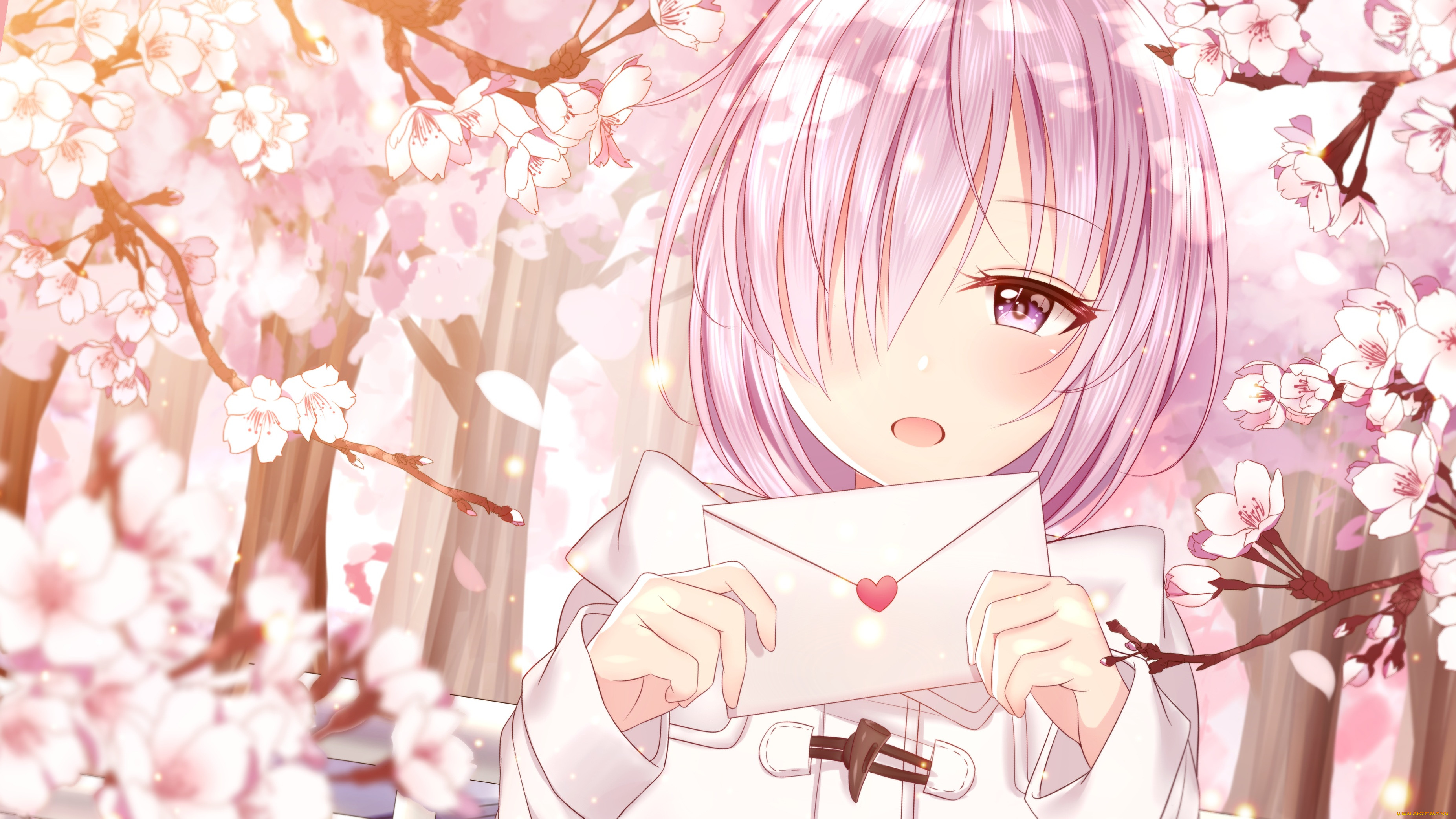 , fate, stay night, 